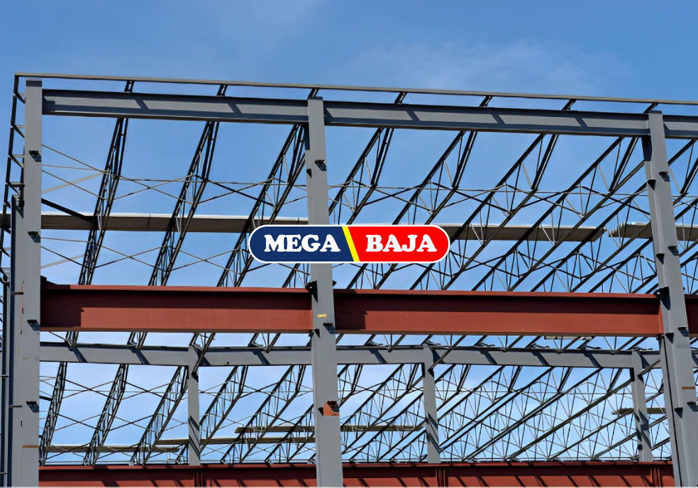 Baja Modern